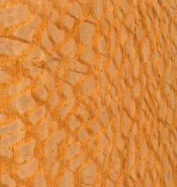 Brazilian lacewood